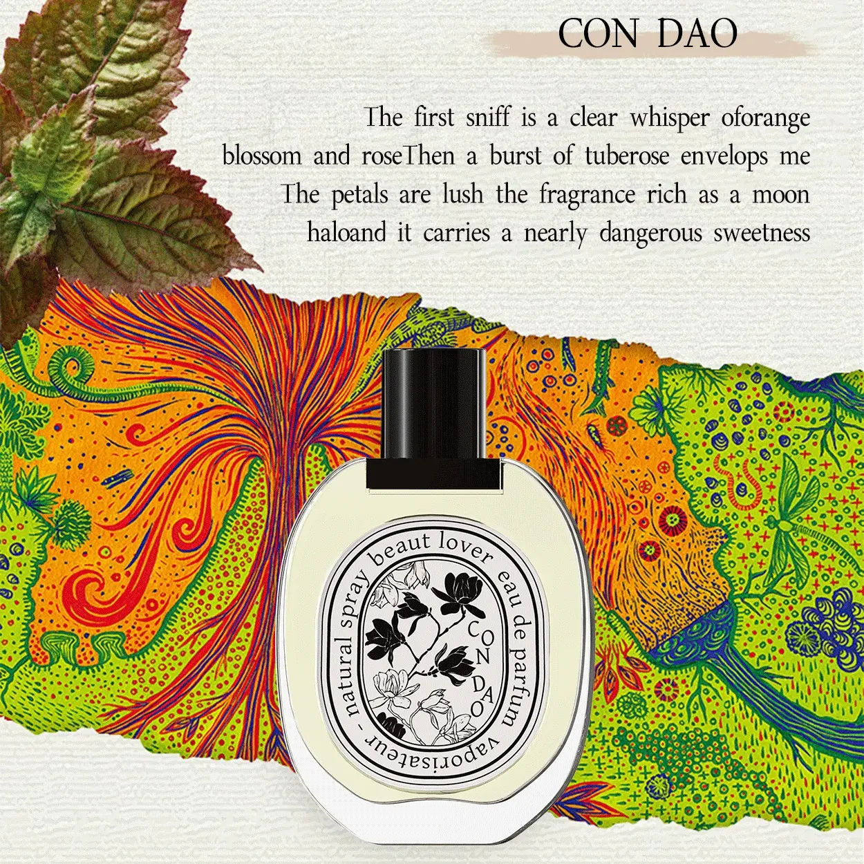 Unisex Con Dao Perfume 49ml Long-Lasting Fragrance Spray - Single Item, Aquatic Floral Scent with Top Notes of Orange Blossom, Jasmine, Seawater, Pink Pepper & Base Note of Sandalwood, Ideal for Outdoor Fun, Perfect for Night Events, Perfumes
