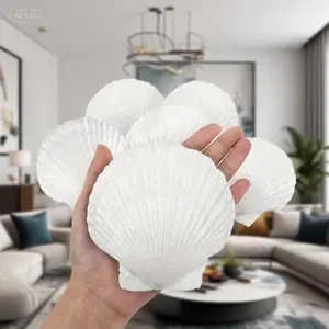 4"-5" White Seashells for Crafts - Natural Scallop Shells Bulk for DIY Painting, Baking Decorations - Large Beach Wedding Shells for Ocean Theme Party - Home Decor Supplies - Reusable Eco-Friendly