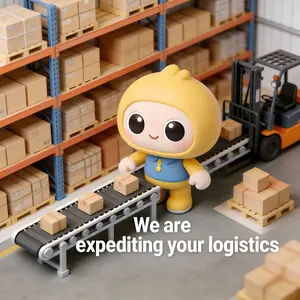 Women's Clothing Exclusive Priority Packaging & Delivery Service for Timely Orders