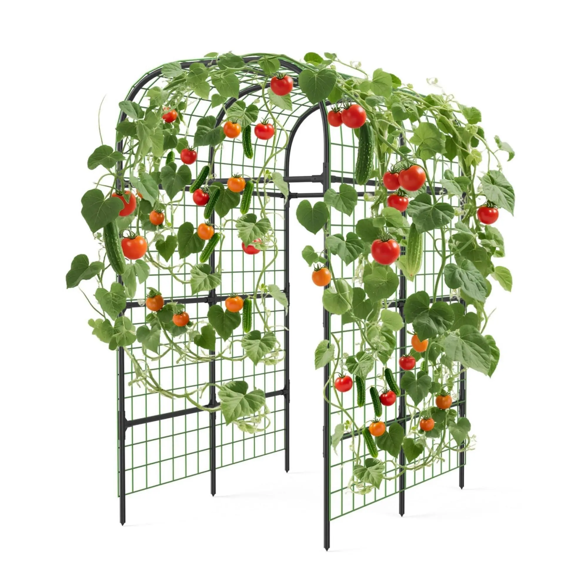 Garvee Sturdy Garden Arch Trellis for Raised Beds – 7.3ft Black Metal Plant Support Frame for Climbing Vegetables, Vines, and Flowers – Ideal for Outdoor Landscaping –