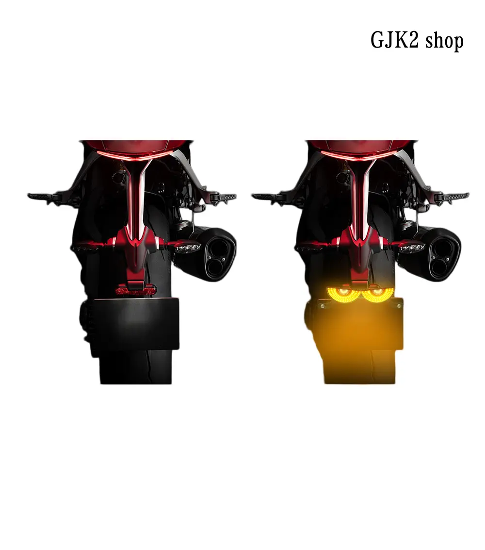 Motorcycle Lights, Devil Eye Triangle Style LED Tail Light with ABS Housing, Waterproof Multi-Modes Turn Signal, 12V Universal Fit for Riders, Rear Lights