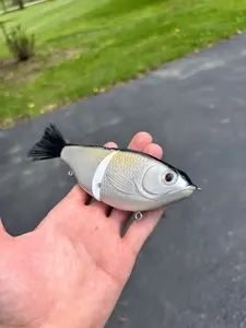 J&Jfishing 7'' Glide Bait Hand-Painted Slow Sink Perch Colorway Great Glide Action for Muskie & Bass Fishing