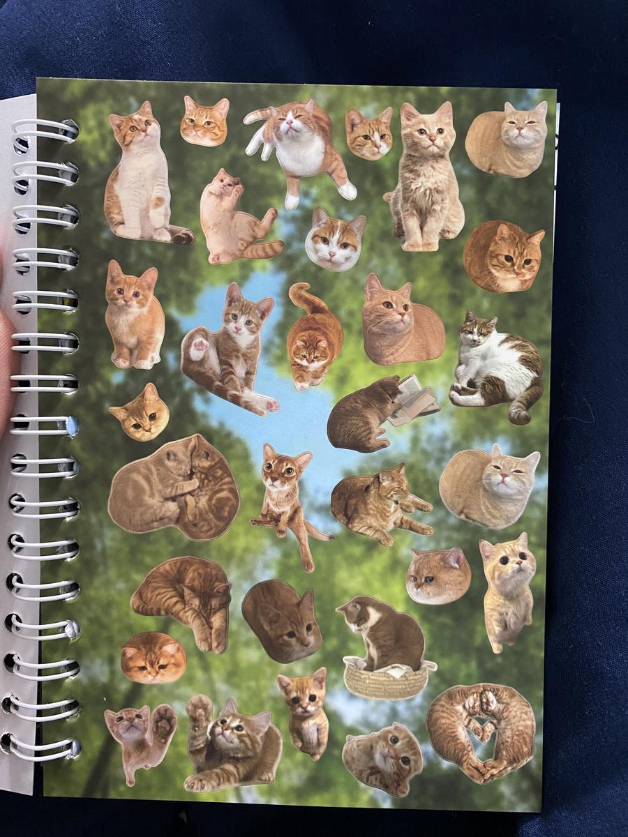 Item: Cat Sticker Book