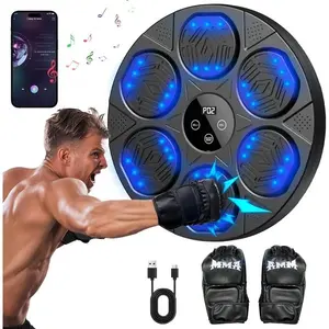 Music Boxing Target Workout Equipment