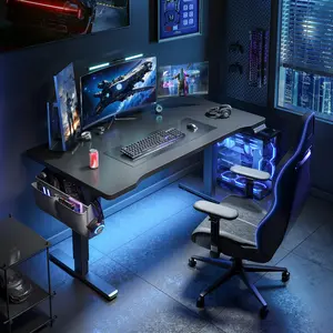 【Smart Memory Height】Raybee Electric Standing Gaming Desk with LED 56'' Sit Stand Up Desk Adjustable Height 3 Memory Preset Computer Home Office Desk with Side Pocket