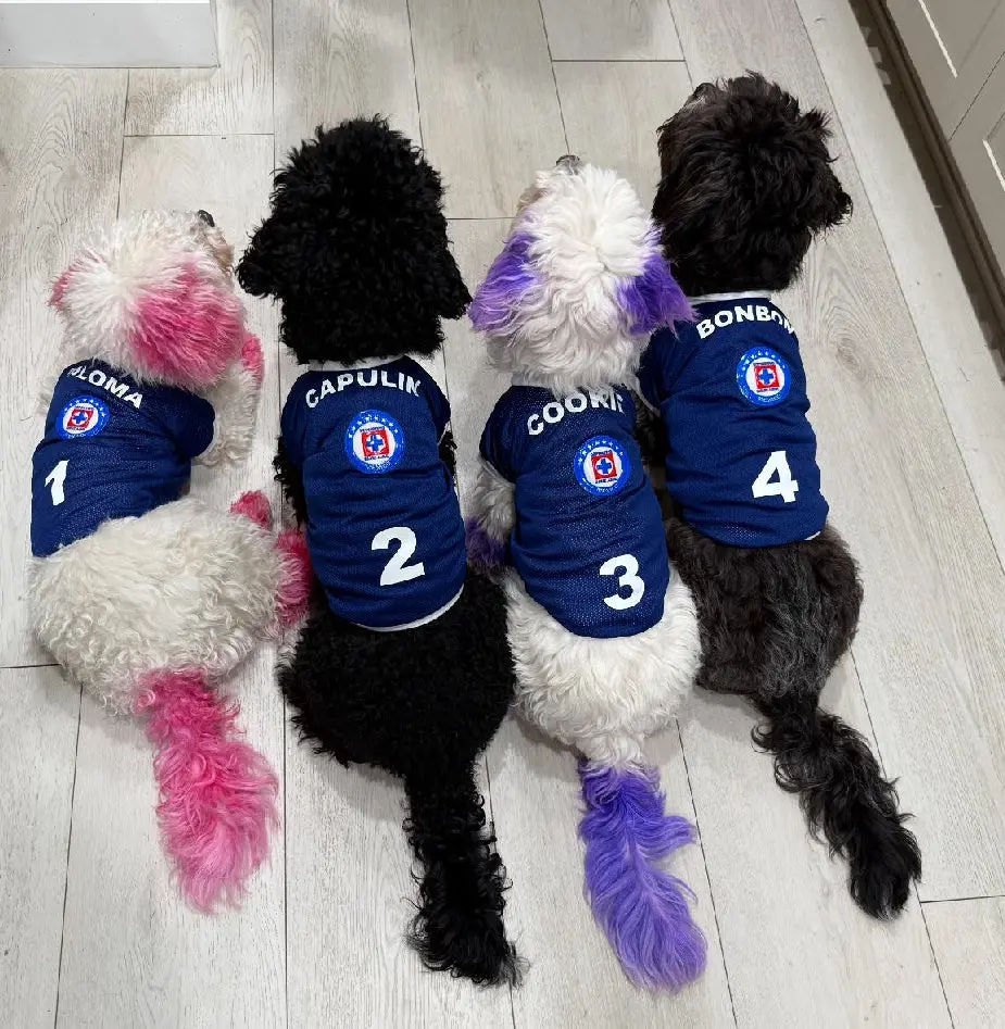 Cruz Azul: Adorable T-Shirts for Your Furry Soccer Fan - TikTok Shop