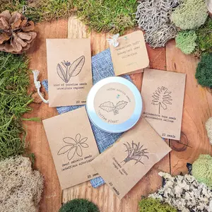 "Houseplant Buff" Houseplant Seed Collection