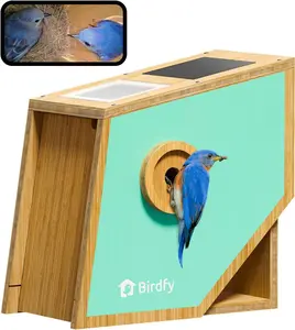 Birdfy Nest Polygon - Smart Birdhouse with Camera