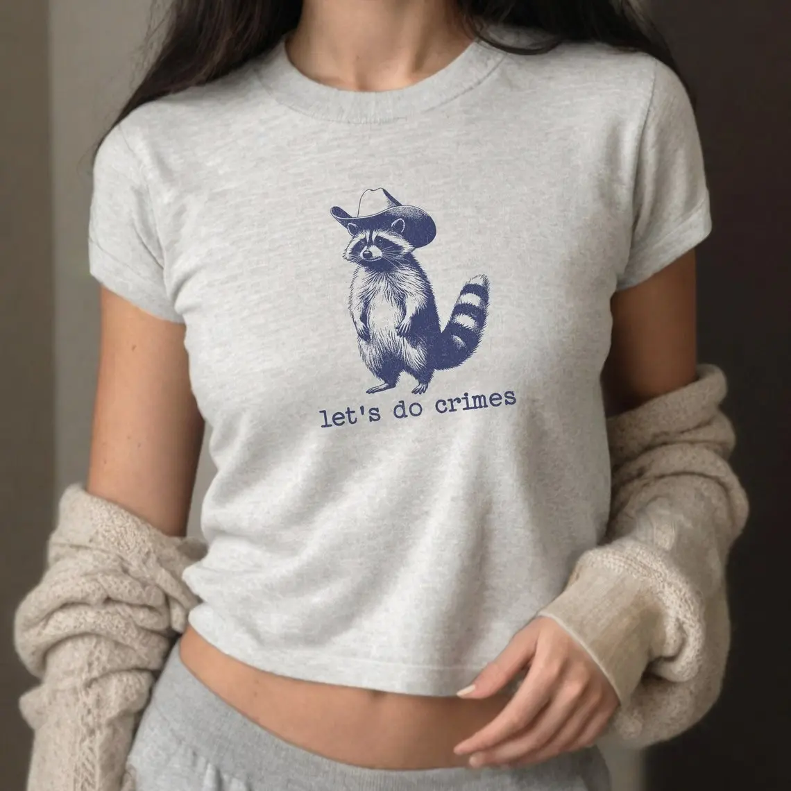 Let's Do Crimes Tee, Funny Retro 90s Crop Top, Vintage Raccoon T-Shirt, Stupid Y2K T-Shirt, Silly Meme Shirt, Aesthetic Women's Tee