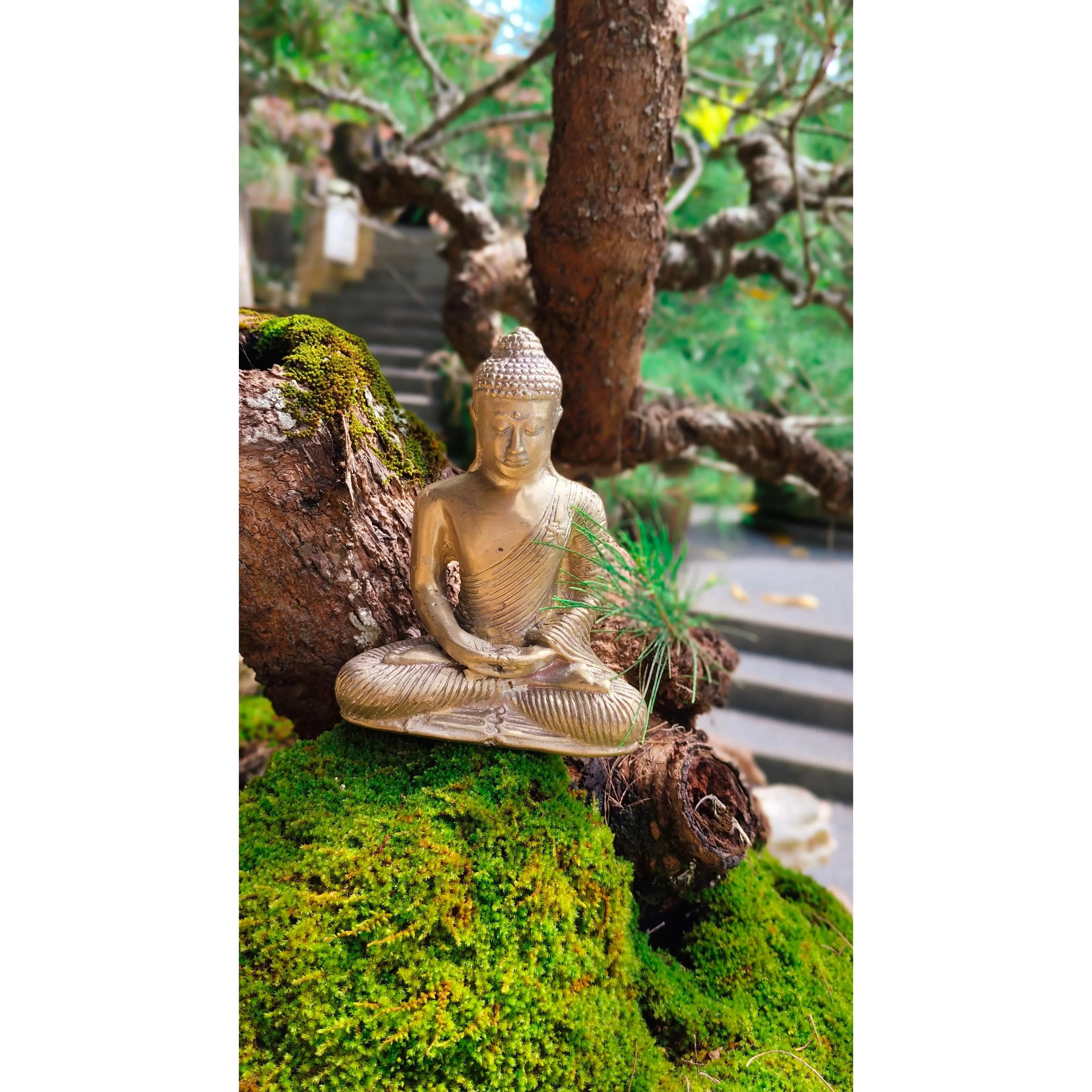 Bali Tranquility Buddha - Bronze Figurine for Calm Clarity, Soothing Home Decor or Office Décor