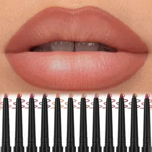 1PC 2-in-1 Matte Nude Lip Liner - Highly Pigmented, Non-sticky Formula, Natural Nude Pink/beige/brown Lip Liner, Precise Application, Buildable, Suitable for All Light Beige Skin Tones