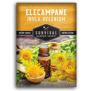 Elecampane Seeds - Ancient Healing Herb