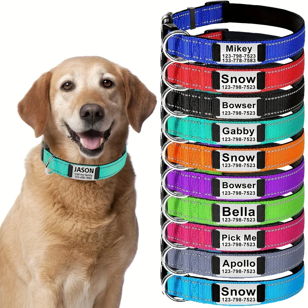 Customizable Reflective Dog Collar with Name Plate - Padded Nylon Comfort Fit, 12 Color Options & Personalized Name Tags, Replaces ID Tags, Perfect Gift for Dog Lovers