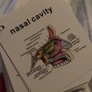 Anatomical Study Flashcards with Front and Back Views, Skeletal System Diagrams and Vocabulary Cards, Medical Learning Guide for Students, Doctors and Nurses, Nursing Flashcards