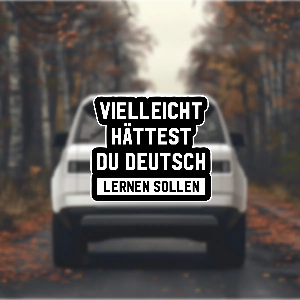 Maybe You Have German, German Stickers, Creative Waterproof Vinyl Stickers, Laptop Helmets, Motorcycle Tools, Window Decorations, Guitars, Skateboards, Stickers