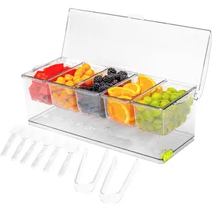 Ice Chilled 5 Compartment Condiment Serving Tray; Condiment with 5 Removable Containers; Cold Serving Trays for; Bar Accesories Fruit and Salad with Lid