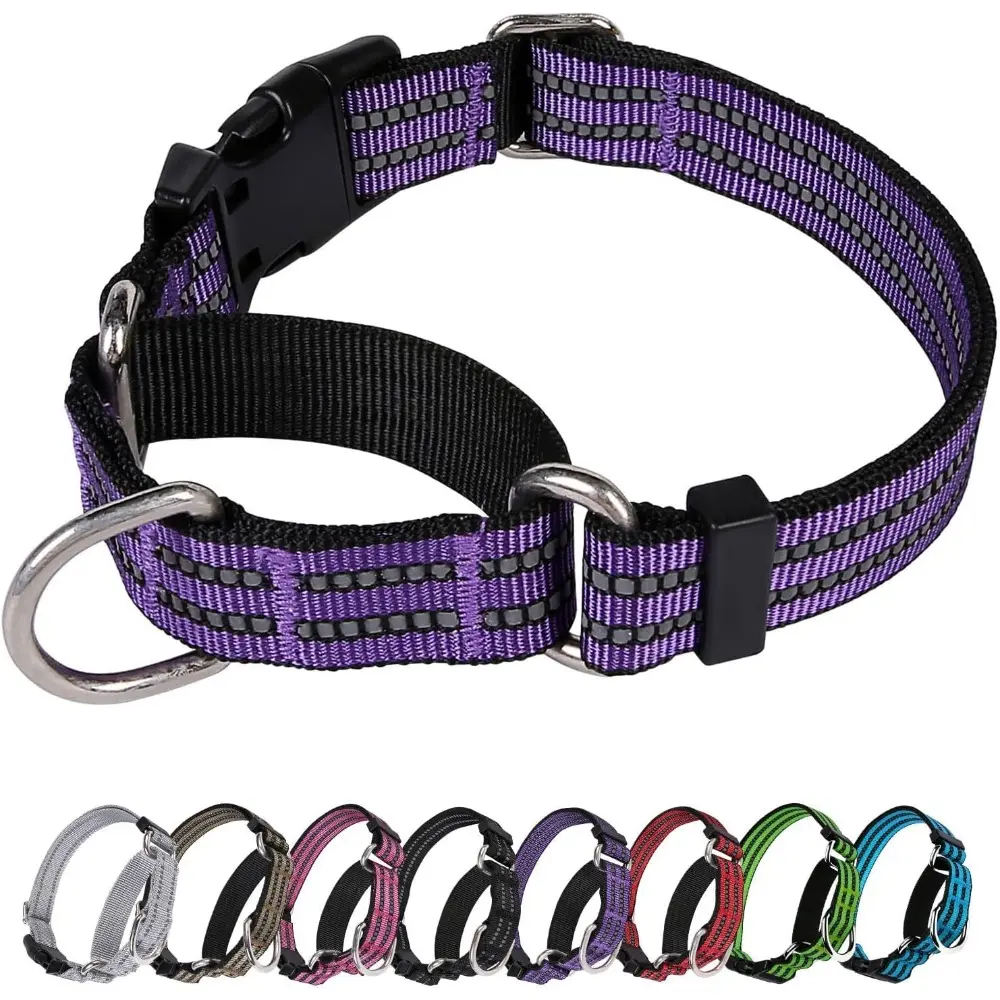 Martingale Dog Collar, Adjustable Nylon Reflective Collar with Buckle No Pull Collar For Small,Large Dogs (Purple M)