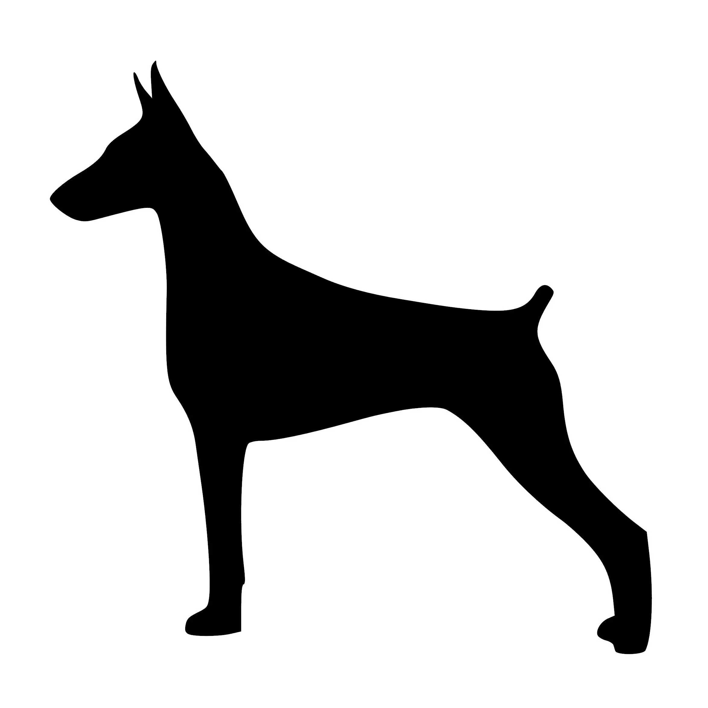 Doberman Pinscher Vinyl Sticker Decal - Original Design with Simple Black Outline, Self-Adhesive, Outdoor Safe for Car, Cups (Office Stationery Accessory)