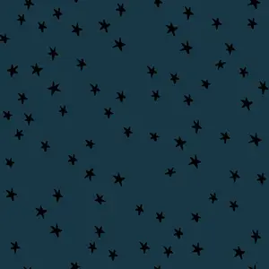 Fabric Ruby Star Society Smoke Starry by the Quarter Yard RS4109-45