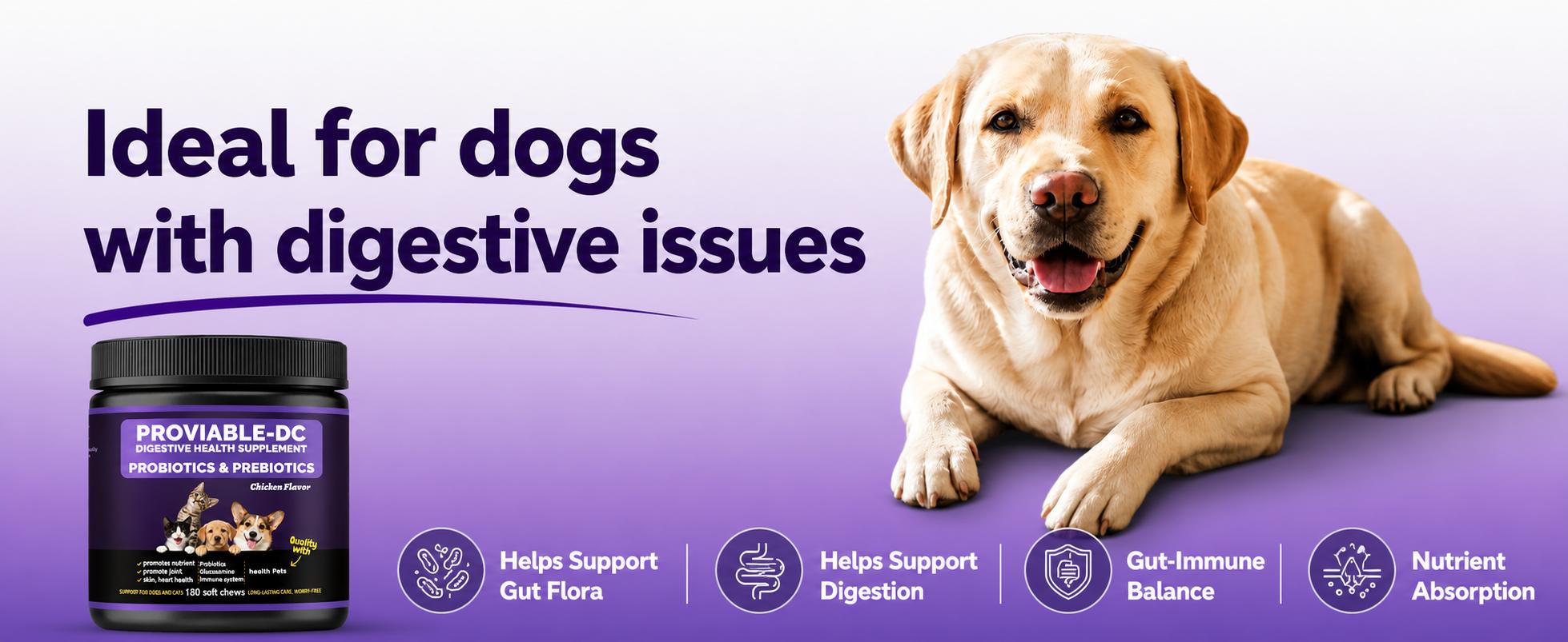 180ct Dog & Cat Prebiotic & Probiotic Soft Chews - 4-Strain 5B CFU, Digestive Enzymes, Organic Inulin - Chicken Flavor for Gut Balance, Immune Health, Digestion, Stool Quality Support