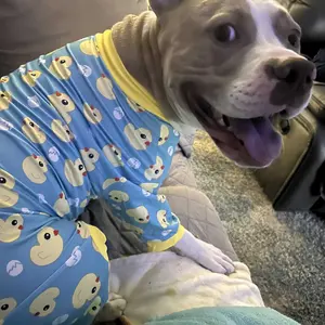 XPUDAC 1-Pack Cozy Pet Pajama, Cute Cartoon Duckie Print Breathable Sleepwear, Universal Size Puppy Costume Shirts & Vests Outfits for Small Medium Large Dogs Cats (Christmas Halloween Gift for Petlovers)