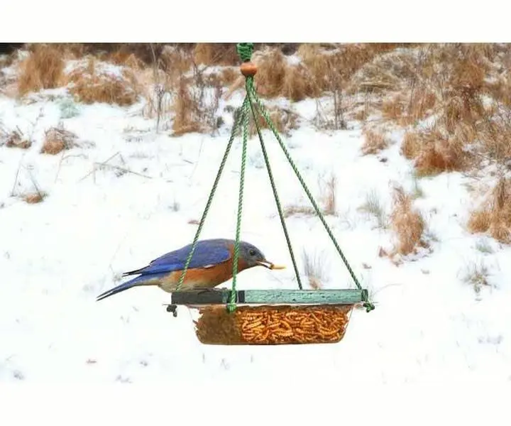 Hanging Mealworm Dish Feeder