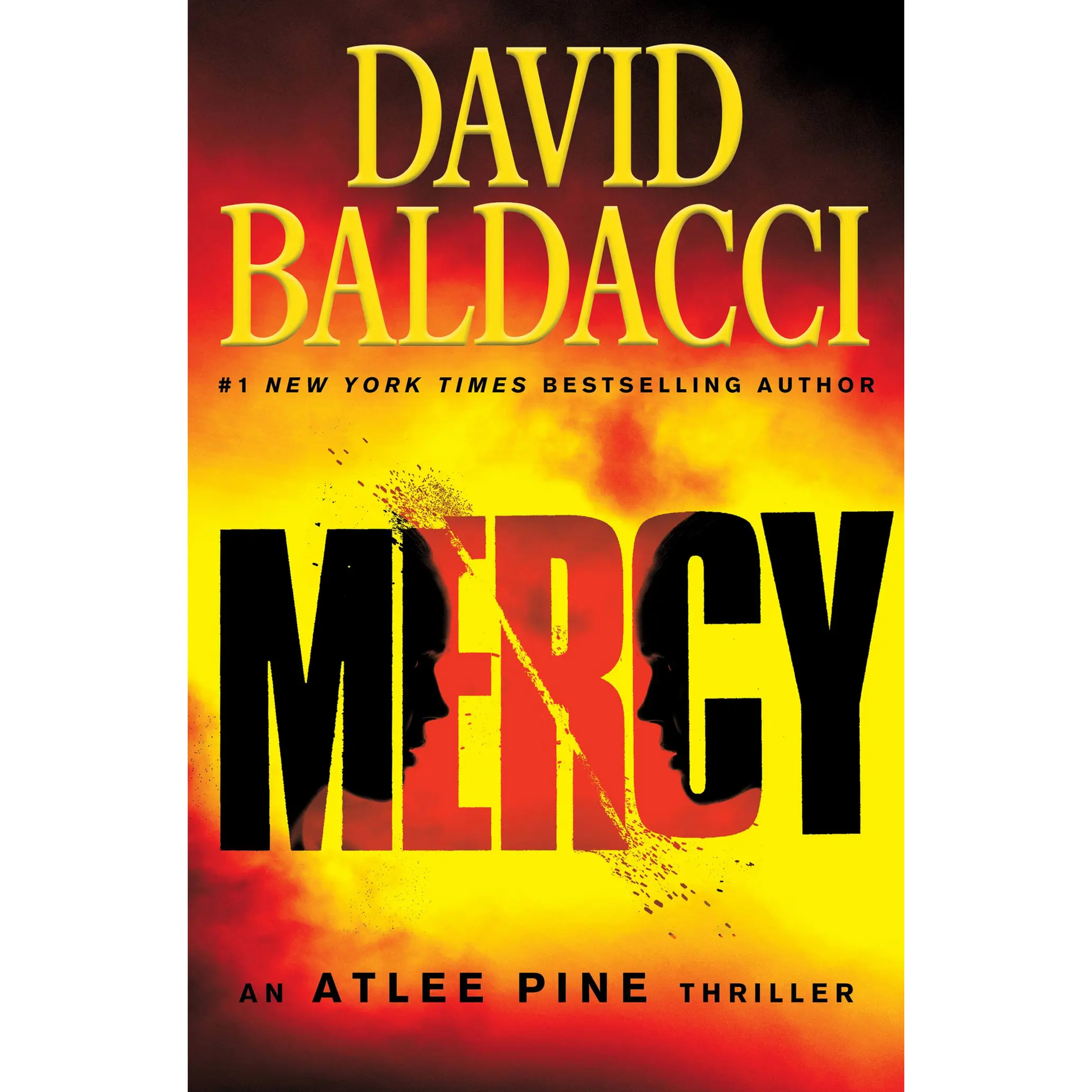 Mercy by David Baldacci [Paperback Book]