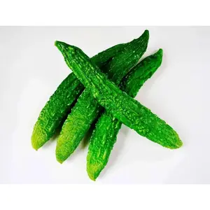 India LONG Bitter  Gourd Seed - "Green Bitter Gourd Hybrid" Asian Vegetables