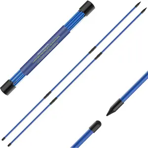 Golf Alignment Sticks 2 Pack,Upgraded 48" Collapsible Alignment Stick Golf  Aid for Aiming, Putting, Swing Trainer, Golf  Sticks with Clear Tube Case