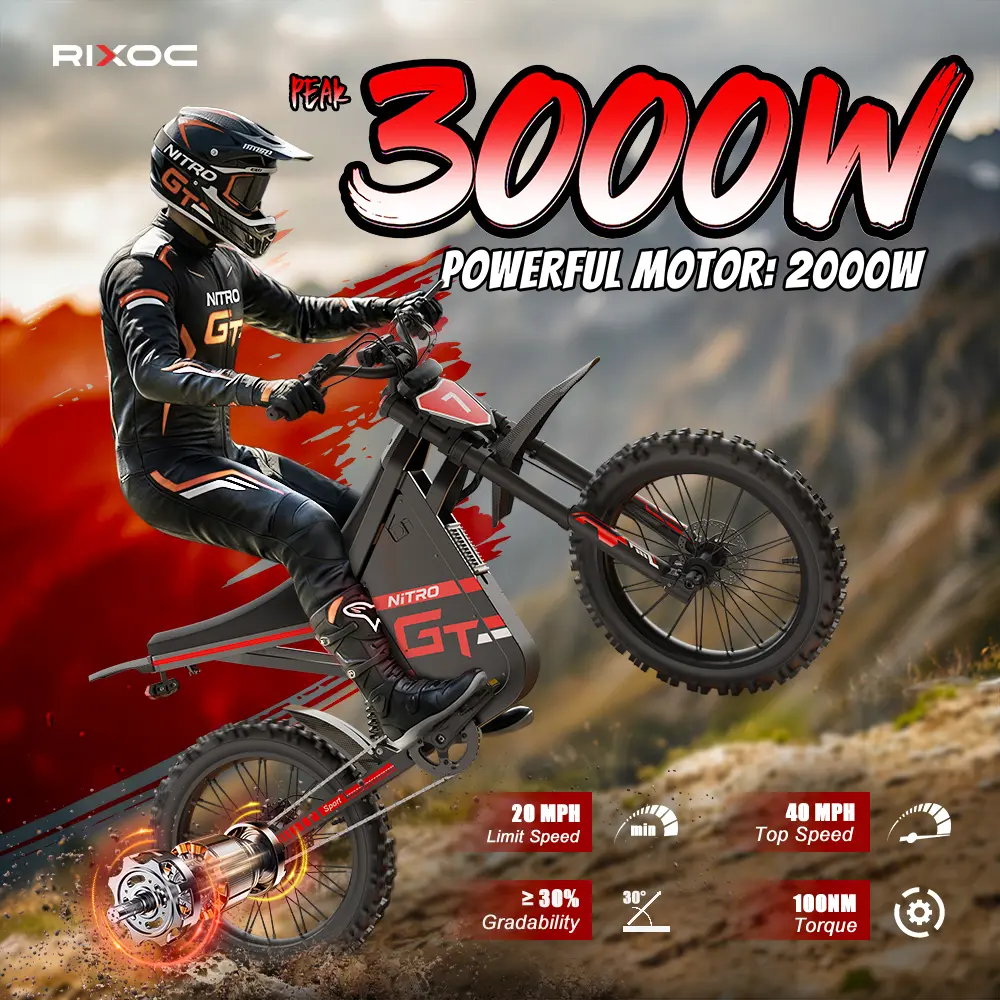 RIXOC GT19 Adult Electric Bike, 40MPH, 19-inch tires,3000W peak