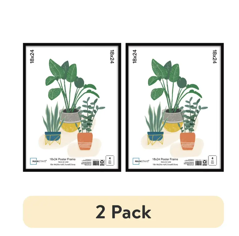(2 pack) Mainstays 18 x 24 Poster Frame, Black