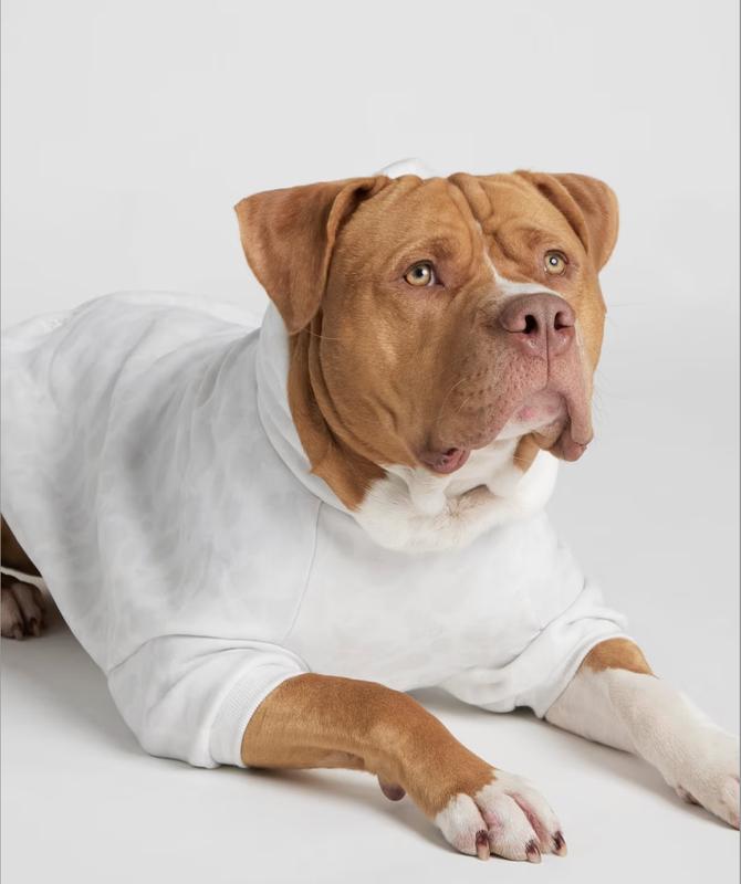 Comfrt Paws | Minimalist Hoodie Comfrt Paws | Minimalist Hoodie