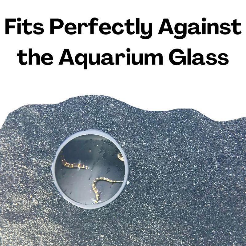 Aquarium Underground Tunnel Cave Natural Curve | Viewing Fish & Shrimp Under Gravel Tunnel | Fish Tank Decor Decoration Hideout Perfect for Corydora Catfish, Kuhli Loach, Clown Loach, Pleco