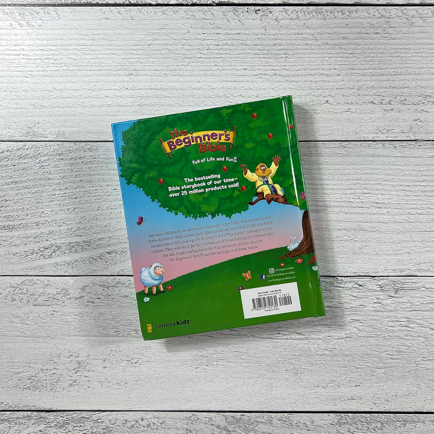 The Beginner's Bible: Timeless Children's Stories Hardcover – Illustrated, October 4, 2016