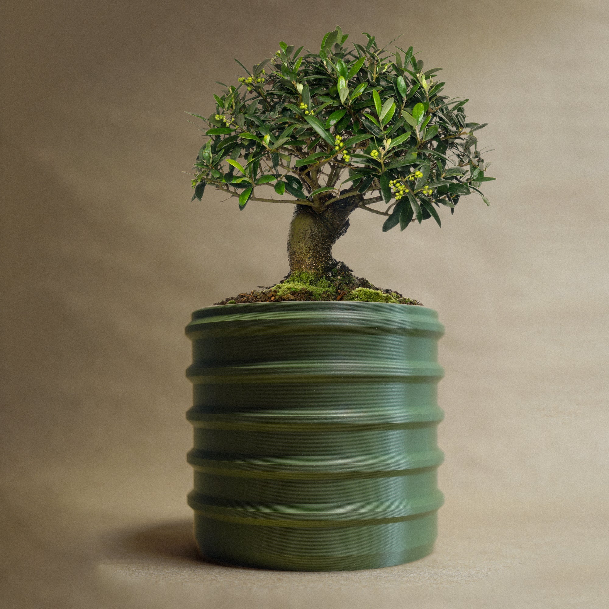 The Bubble Crest Planter, Plant Pot with Excellent Drainage and Drip Tray, Multiple Sizes and Colors