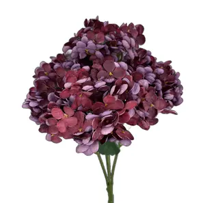 Burgundy Hydrangea Bush – 19" – 5 Stems