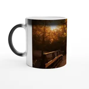 Magic 11oz Ceramic Mug