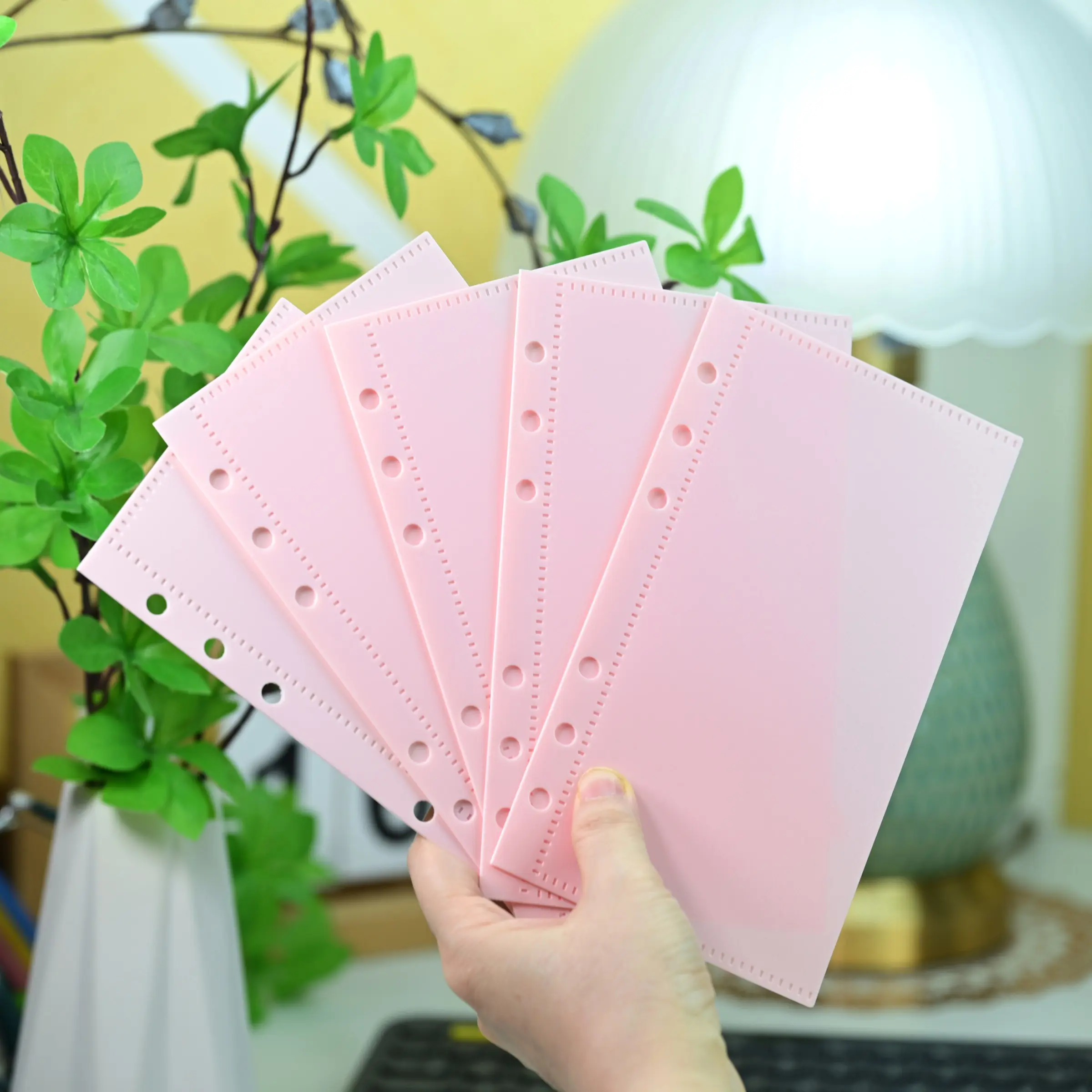 A6 Ring Binder Dividers Set, PP & Cash Storage Tabs, Index Cards for Notebooks, Scrapbook Supplies, Durable Reusable - TikTok Shop A6 Ring Binder Dividers Set, PP & Cash Storage Tabs, Index Cards for Notebooks, Scrapbook Supplies, Durable Reusable - TikTok Shop