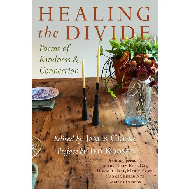 Healing the Divide: Poems of Kindness and Connection by James Crews (Paperback)