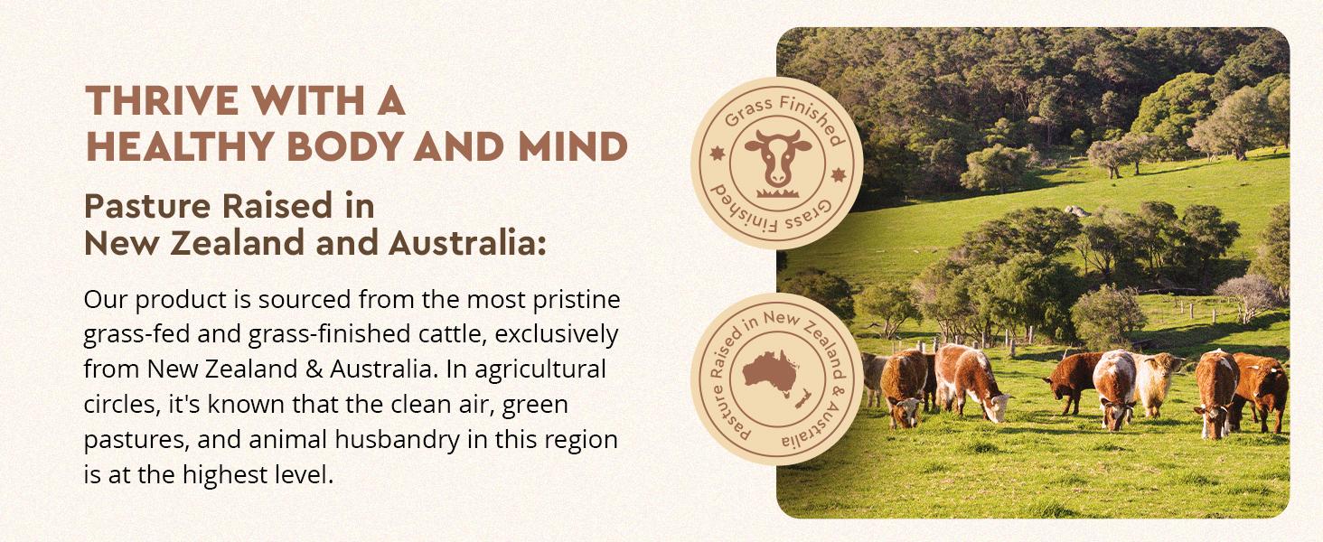 Ancestral Supplements Grass-Fed Beef Liver Capsules – Nutrient-Dense, Freeze-Dried, 180 Count