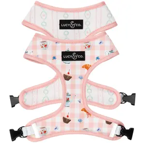 Sipping Slowly Reversible Harness