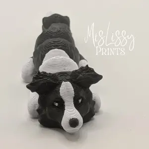 Border Collie Flexi 3D Print Decor
