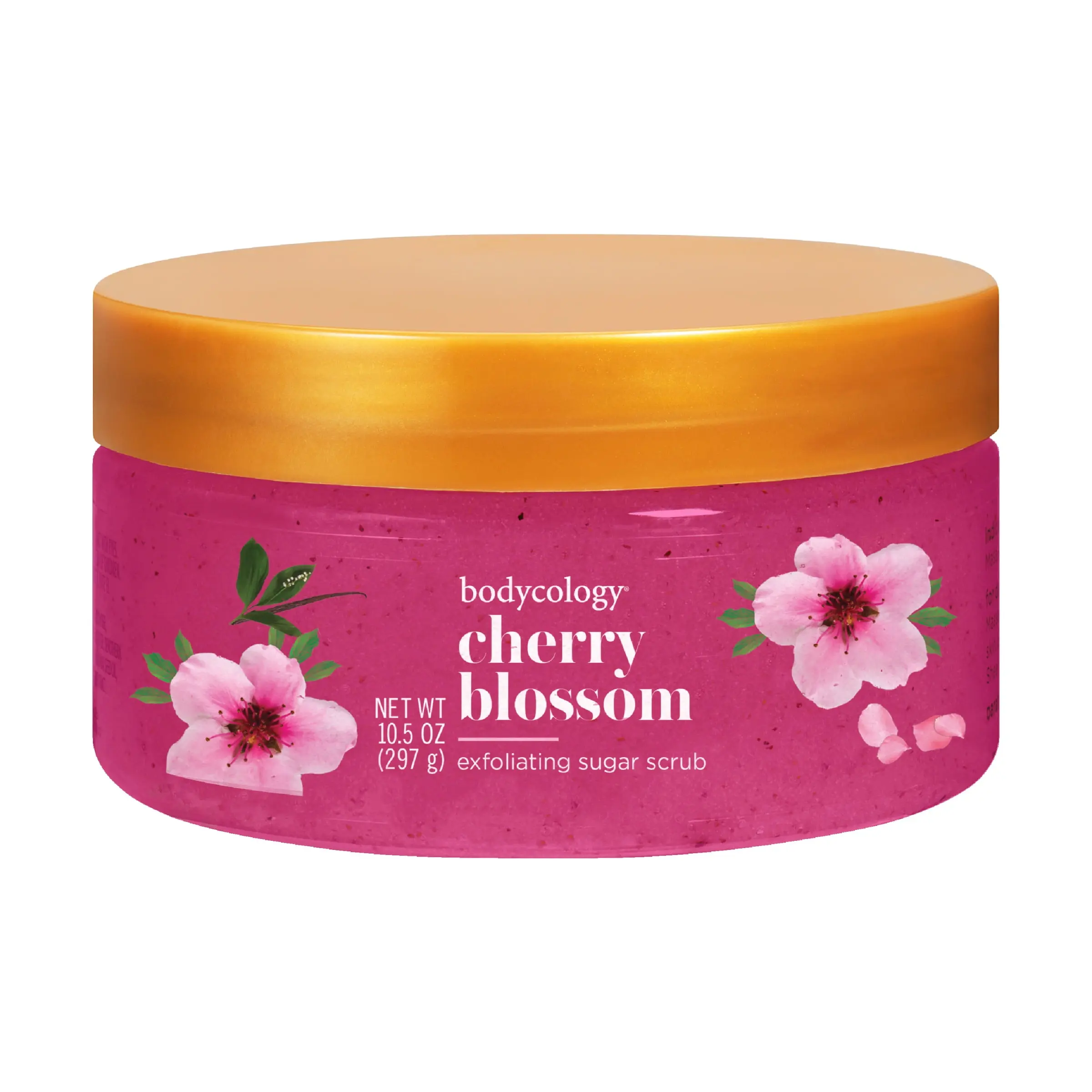 Bodycology Exfoliating Sugar Scrub, Cherry Blossom – Gently Buffs & Smooths Skin – 10.5 oz Jar