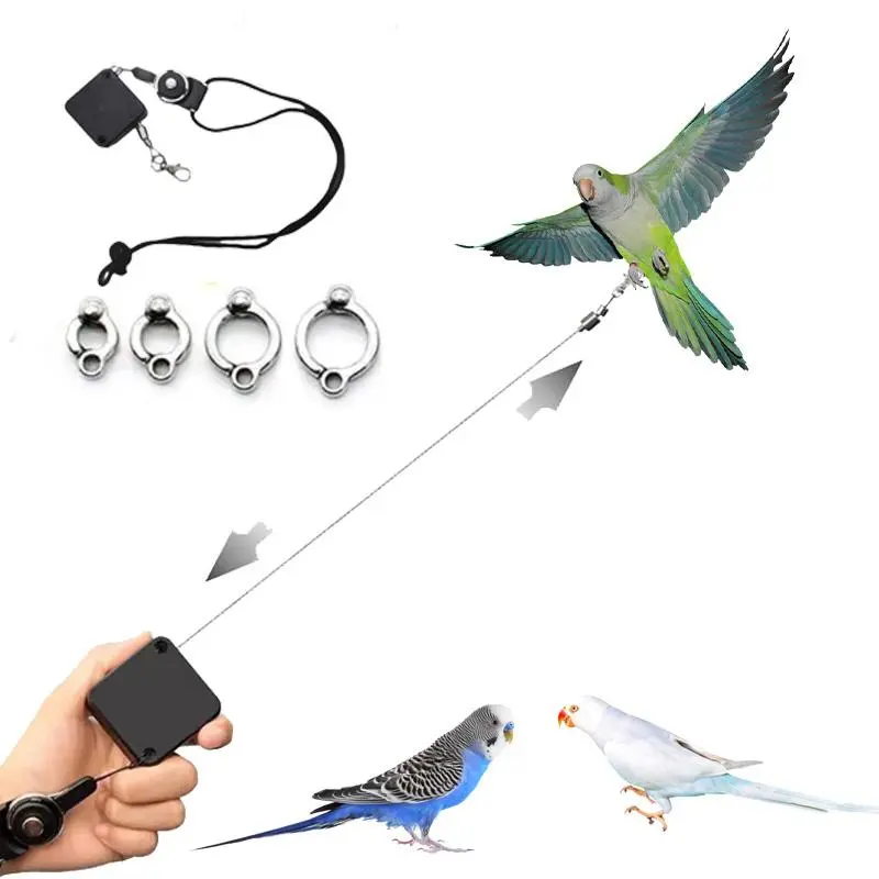 Bird Training Leash, 1 Set Retractable Bird Flying Rope, Lightweight Training Rope, Outdoor Bird Walking Rope, Harnesses, Outside, Suitable for Various Birds