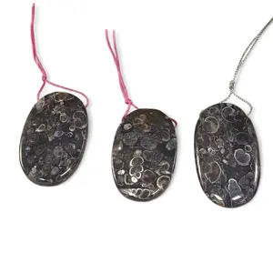 Turritella Fossil Agate, Oval Shape, Top Side Drilled, Pendant