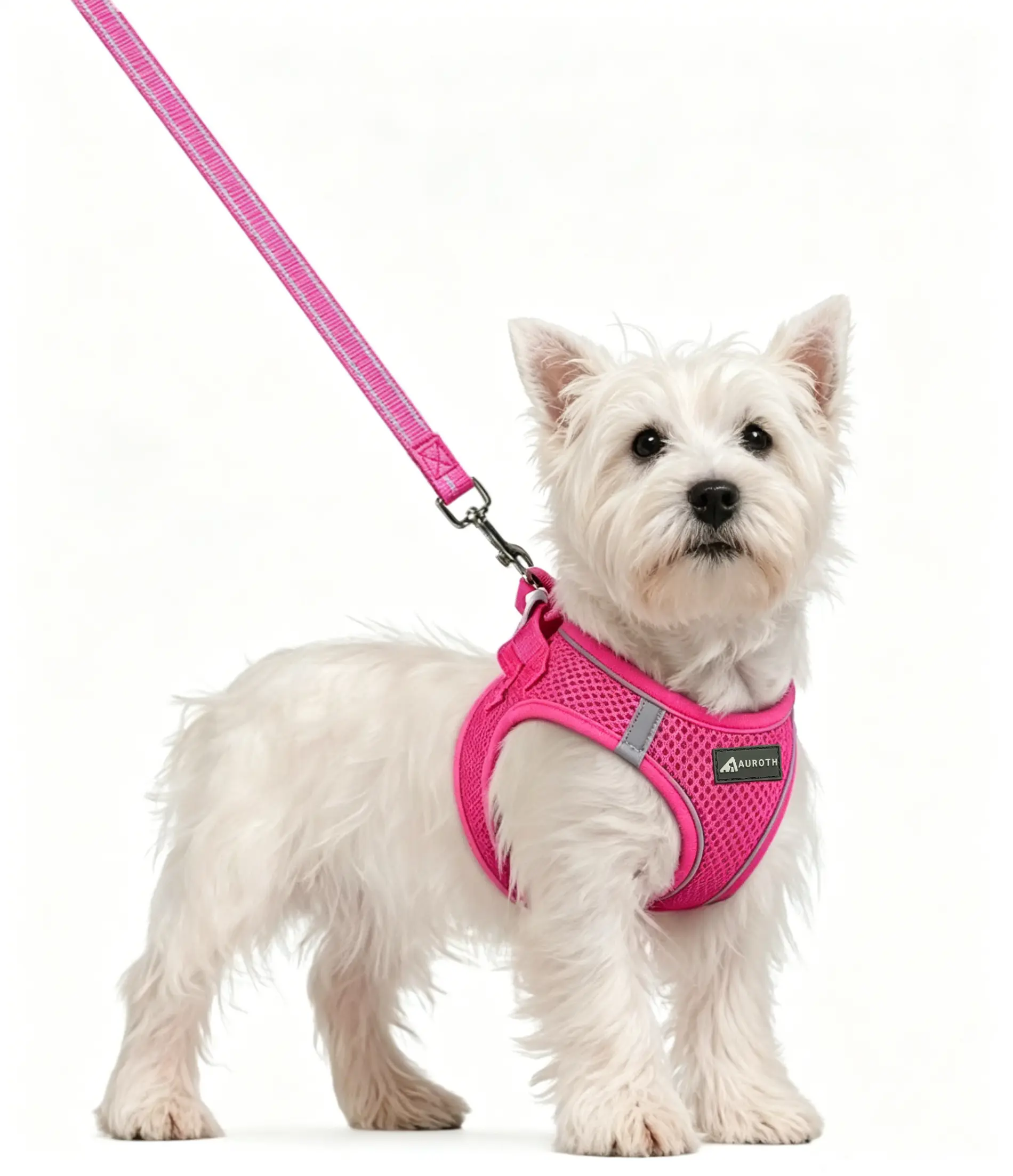 AUROTH Dog Harness Small Sized and Leash Set, Step in Soft Light Puppy Vest, Breathable Mesh Pet Harness, Reflective for Safe Easy Walking