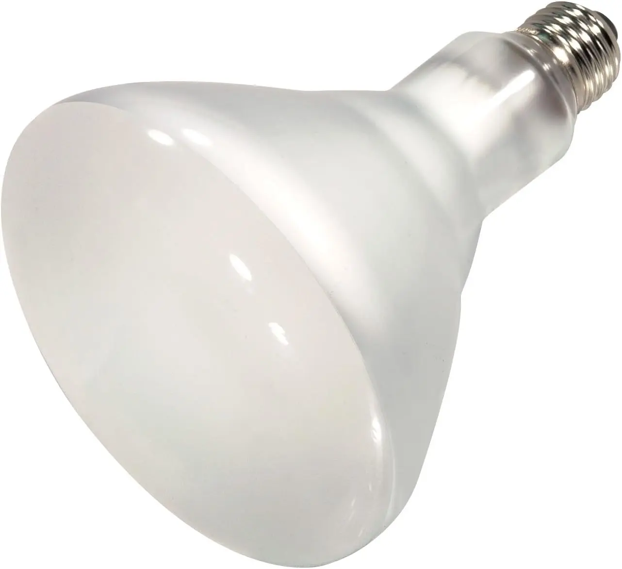 S7006 Fluorescent Pool Lamp, 120V, 400BR40, 5.00 Inches Width, 6.50 Inches, Frosted Lamps for Home Improvement & Garden Decor
