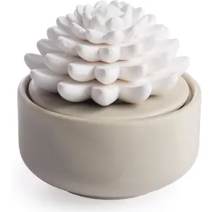 White Succulent, Porcelain Passive Essential Oil Diffuser (with 15ml Peppermint Essential Oil) – Non-Electric, Battery-Free, Improves Sleep, and Relieves Stress