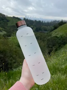 Motivational Water Bottle (Clear)