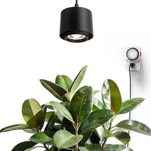 Barrina TR40 Hanging Grow Lights for Indoor Plants, 4000K Full Spectrum 40W, Adjustable Beam Angle 15°-60°, High PPFD, Mechanical Timer, Plant Lights for Indoor Growing for Large Tall Plants, Black